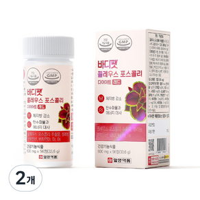 일양약품 바디팻 콜레우스 포스콜리 다이어트 레드 33.6g, 바디팻 콜레우스 포스콜리 다이어트 레드 체지방 감소 보, 2개