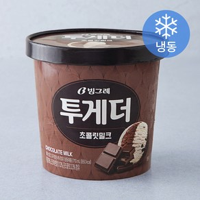 빙그레 투게더 초콜릿밀크 (냉동), 710ml, 1개