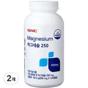 GNC 마그네슘 250, 120정, 2개