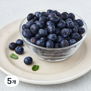 GAP 인증 상큼애 블루베리, 200g, 5개