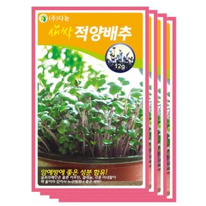 다농 새싹적양배추씨앗, 12g x 4개, 4개