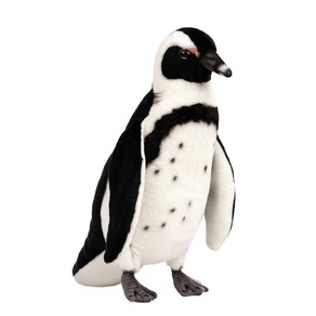 한사토이 동물인형 6971 자카스펭귄 Black Footed Penguin, 30cm, 검정, 1개