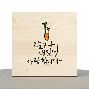 1AM 캘리그라피 힐링 원목액자 오늘보다 내일 더 새싹화분