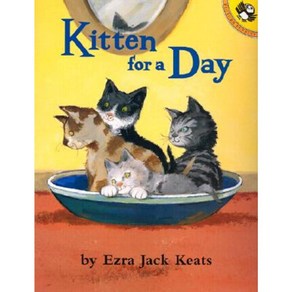 Kitten for a Day Paperback