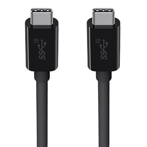 벨킨 3.1 USB C to C타입 100W 케이블 F2CU052bt1M