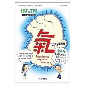 15분의 기적:명상 기 치료