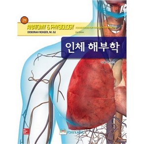 인체해부학