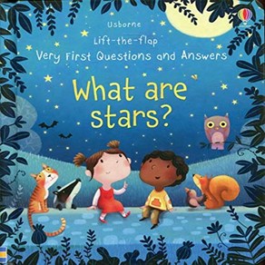 What ae Stas? Vey Fist Lift-the-Flap Questions & Answes, Usbone