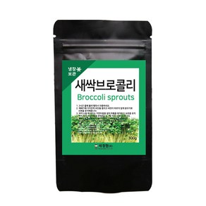 세경팜 새싹 브로콜리 씨앗 300g, 1개