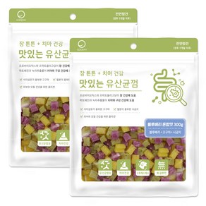 굿데이 맛있는 유산균껌 반려동물 간식, 블루베리혼합, 300g, 2개