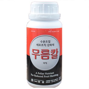 유일 무름칼액제 세포조직강화제 500ml, 1개