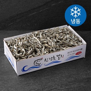 신건호멸치 직접잡은 상급 안주 조림 국물용 햇 고주바멸치 (냉동), 1.5kg, 1박스