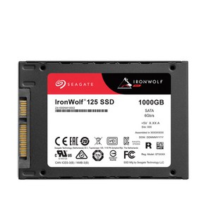 씨게이트 Ionwolf 125 SSD NAS, ZA1000NM10002, 1TB