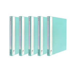 인디 클리어파일 A4 40매, Mint, 5개