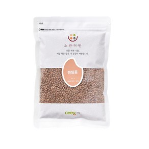 씨익 소반미반 렌틸콩, 500g, 1개