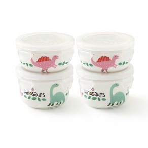 ZEN 아이앰디노 멀티 밀폐용기 2종 x 2p 세트, 1세트, 밀폐용기 130ml x 2p + 180ml x 2p