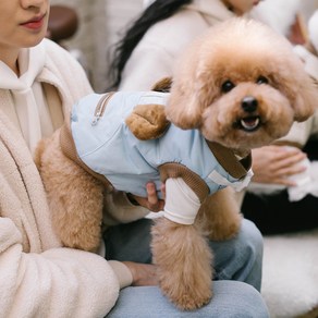 에이미러브즈펫 반려동물 하네스 패딩, 블루곰, 1개