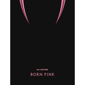 블랙핑크 - 2nd ALBUM BORN PINK BOX SET 3종 중 랜덤 발송 예판 포스터 종료