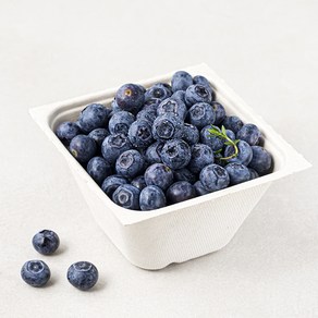산지직송 아주마 무농약 인증 영동 블루베리, 250g, 1개