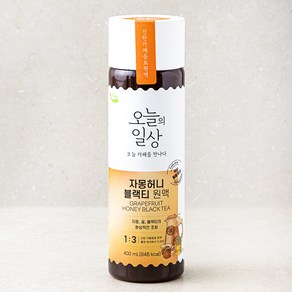 오늘의일상 자몽허니블랙티 원액 400ml