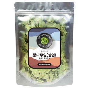 동이약초 뽕나무 잎 상엽, 250g, 1개