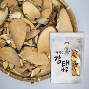 월드블링 감태나무, 500g, 1개