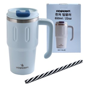 홈애니 퀸쳐 보온보냉 텀블러 + 빨대 세트, 스카이블루, 650ml, 1세트