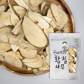 월드블링 자연산 황칠나무, 300g, 1개