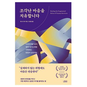 조각난 마음을 치유합니다:트라우마를 넘어 내적 자기소외를 극복하는 통합적 심리치료, 더퀘스트, 재니너 피셔