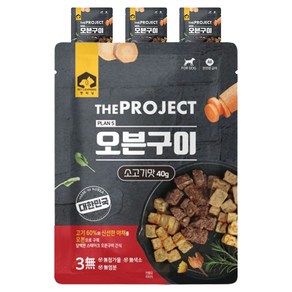 펫러닝 강아지 더 프로젝트 PLAN5 오븐구이 사료, 소고기맛, 40g, 4개