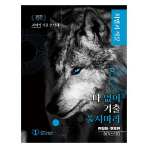 2025 나 없이 기출 풀지 마라 화법과 작문 (문제 + 해설) 기출문제집