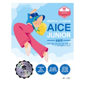 AICE JUNIOR 실습편, 웅진윙스