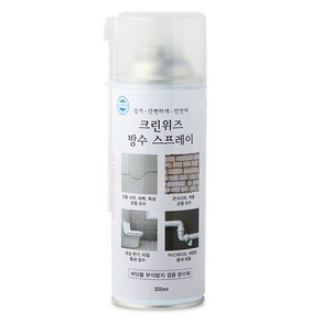 크린위즈 방수 스프레이 투명 300ml, 1개