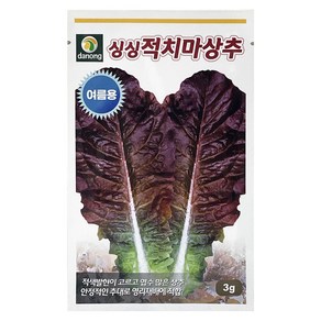 다농 싱싱 적치마 상추 씨앗 3g, 1개