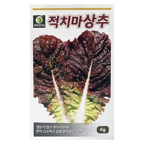 다농 홍빛 적치마 상추 씨앗 6g, 1개