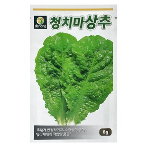 다농 상록 청치마 상추 씨앗 6g, 1개