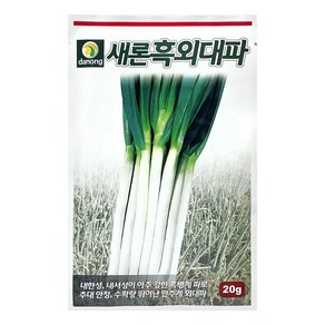 다농 새론 흑외대파 씨앗 20g, 1개