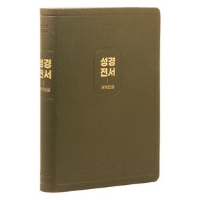 위즈덤 개역한글 성경전서 H97B (무지퍼 / 모카브라운 / 단본), 대한성서공회