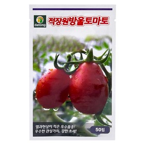 다농 적장원방울토마토 씨앗 50p, 1개