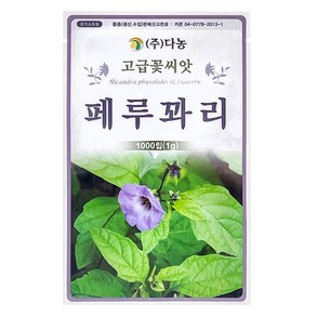 다농 페루꽈리 씨앗 1g 1000p, 1개