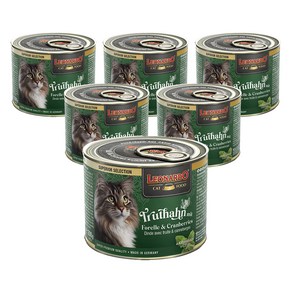레오나르도 어덜트 고양이 주식 캣닢 습식사료, 칠면조, 200g, 6개