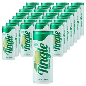 Tingle 리얼에이드 청사과 프리미엄 탄산음료, 30개, 250ml