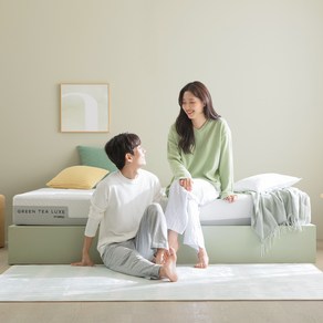 지누스 그린티 럭스 하이브리드 메모리폼 매트리스
