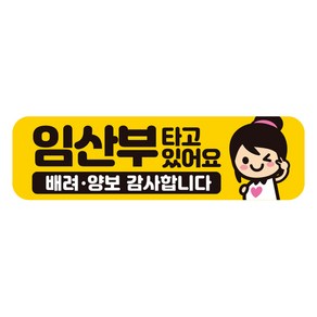 제제데코 칼라 고휘도 반사 차랑용 자석스티커 A280 280 x 80 mm, AB019, 1개