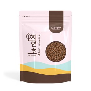 한밭식품 자연초 맥주효모환, 1개, 300g