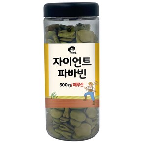 엉클탁 페루산 자이언트 파바빈, 500g, 1개