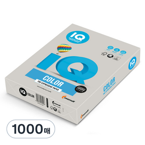 몬디 IQ Colo 색상용지 80g 그레이 GR21, A4, 1000매