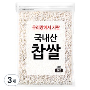 국내산 찹쌀, 5kg, 3개