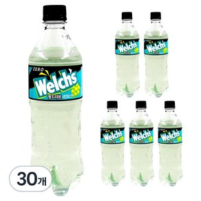 웰치스 제로 샤인머스캣, 600ml, 30개