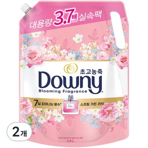 다우니 초고농축 향수 컬렉션 섬유유연제 스프링 가든 러브 리필, 2.6L, 2개